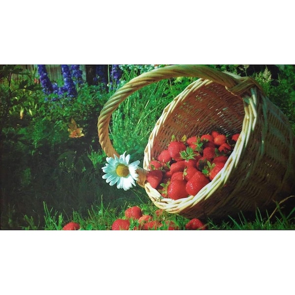 Custom Printed Rugs DM 66 Strawberry Basket Non Slip Indoor Door Mat 27 x 18 in DM 66 - main